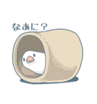 文鳥づくし（個別スタンプ：24）