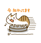 つちねこつっち（個別スタンプ：13）