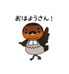 知ったかぶりカイツブリ 野洲のおっさん編 Lineスタンプ アミンチュプロジェクト cびわ湖放送 藤井組