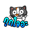 Cat Heads (Thai)（個別スタンプ：4）