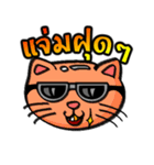 Cat Heads (Thai)（個別スタンプ：27）