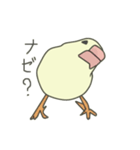 不平不満文鳥（個別スタンプ：7）