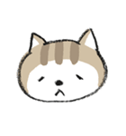 ねこ飼ってもいい？（個別スタンプ：3）