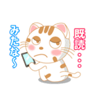 三毛ねこの日常 第2弾！ (会話文字入り)（個別スタンプ：1）