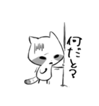 raccoon（個別スタンプ：20）