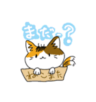 猫又のミケ（個別スタンプ：28）