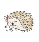 Hedgehogs in Love（個別スタンプ：4）