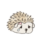 Hedgehogs in Love（個別スタンプ：13）