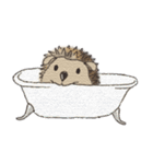 Hedgehogs in Love（個別スタンプ：27）