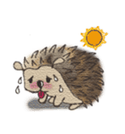 Hedgehogs in Love（個別スタンプ：40）