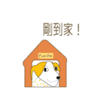 Point dog（個別スタンプ：17）