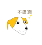 Point dog（個別スタンプ：30）