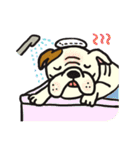 we love bulldog（個別スタンプ：37）