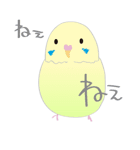 ひとり(鳥)ぼっち（個別スタンプ：6）