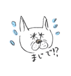ブサかわ☆フレブル犬 サキ（個別スタンプ：13）