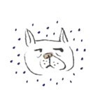 ブサかわ☆フレブル犬 サキ（個別スタンプ：16）
