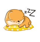 PUPPY POM（個別スタンプ：12）