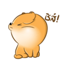 PUPPY POM（個別スタンプ：14）