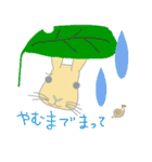 Peco of a rabbit（個別スタンプ：4）