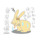 Peco of a rabbit（個別スタンプ：39）