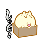 うさぎおん。（個別スタンプ：21）