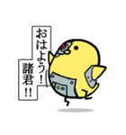 ひよこマンダー（個別スタンプ：24）