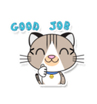 Sweet Cat : Whan Whan（個別スタンプ：16）