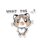 Sweet Cat : Whan Whan（個別スタンプ：17）