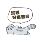 Chinchilla Design（個別スタンプ：2）