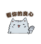 Chinchilla Design（個別スタンプ：12）