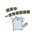 Chinchilla Design（個別スタンプ：13）