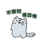 Chinchilla Design（個別スタンプ：19）