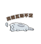 Chinchilla Design（個別スタンプ：37）