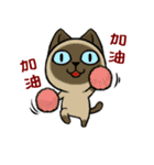 Muta's cat world（個別スタンプ：5）