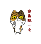 Muta's cat world（個別スタンプ：27）