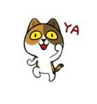 Muta's cat world（個別スタンプ：28）