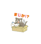 このねこひろってください（個別スタンプ：5）