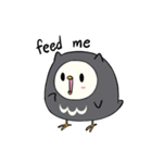 I am a cute owl [EN]（個別スタンプ：4）