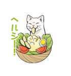 猫又の「何食べたい？」スタンプ（個別スタンプ：17）