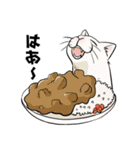 猫又の「何食べたい？」スタンプ（個別スタンプ：19）