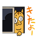 真の猫（個別スタンプ：23）