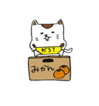 みけパン（個別スタンプ：30）