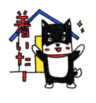 柴犬のぎんた2（個別スタンプ：13）