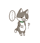 ななねこ4（個別スタンプ：13）