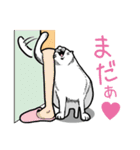 まんまるねこ（個別スタンプ：16）