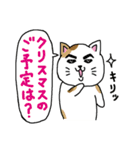 猫とクリスマスとお正月（個別スタンプ：13）