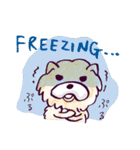 Chow Chow Doggy (English)（個別スタンプ：8）