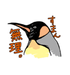 ペンギンズ A（個別スタンプ：8）