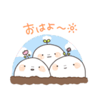 しらたま（個別スタンプ：1）