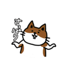 誰かさんちのねこちゃんスタンプ（個別スタンプ：25）